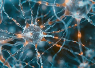 Neurological Risks and Endurance in Alzheimer's Explored